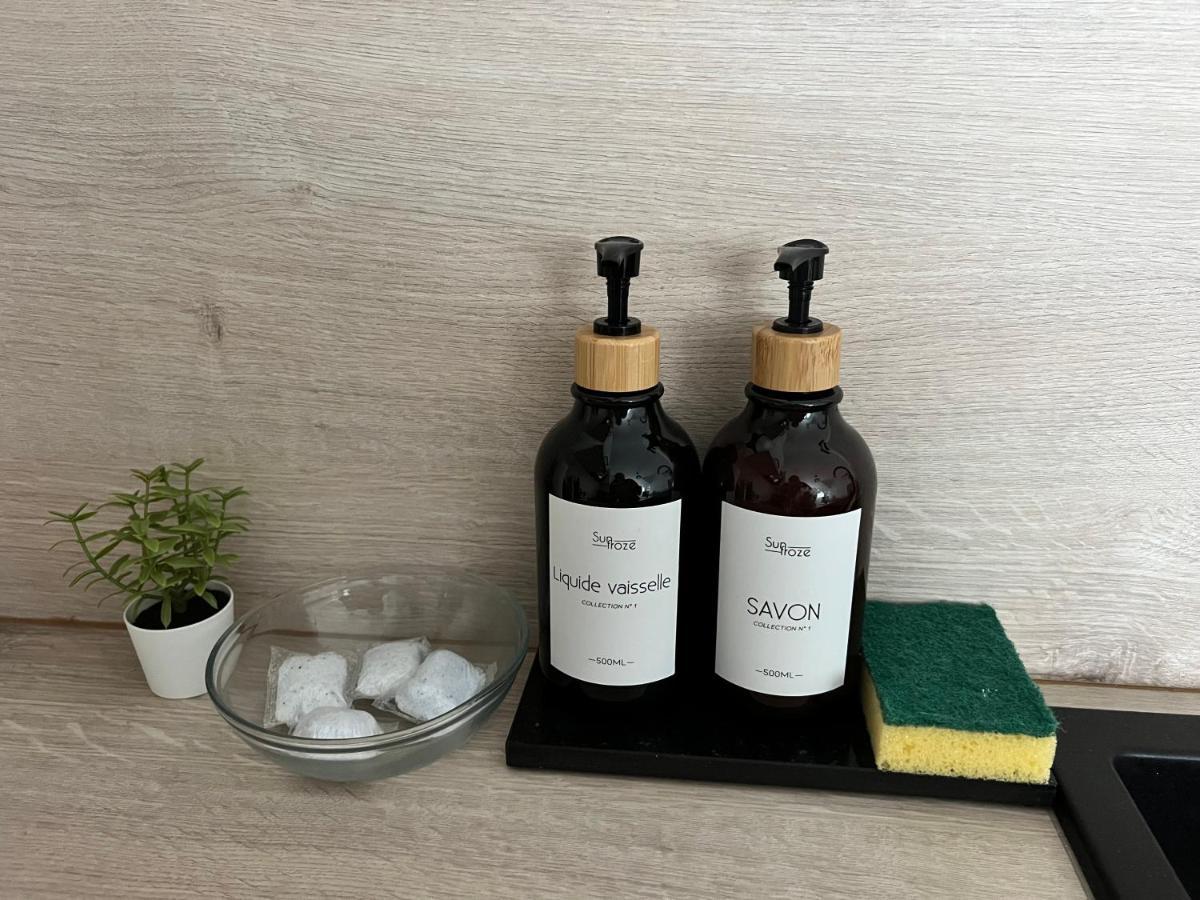 Appart Cosy Cdg Paris Parc Expo Asterix Apartment Dammartin en Goële Bagian luar foto